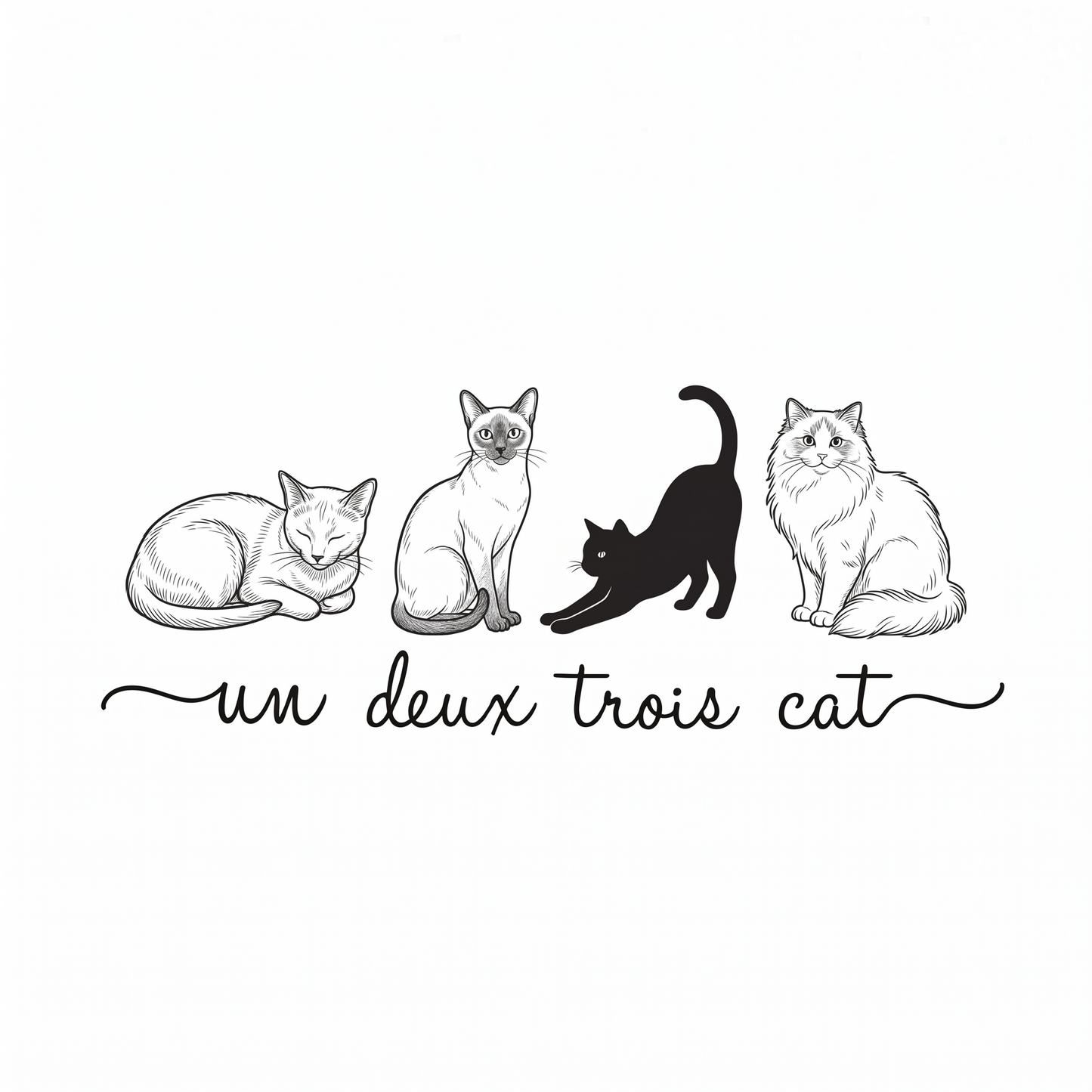 Un deux trois cat Classic Tote Bag