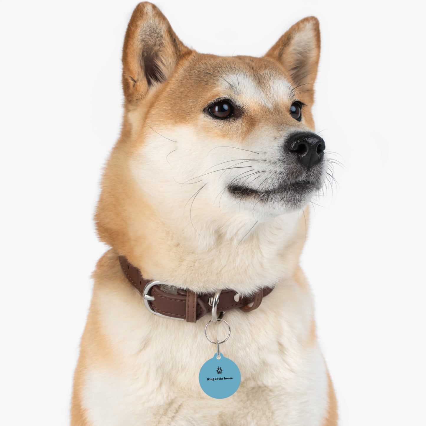 Dog Tag — "King of the House" Blue