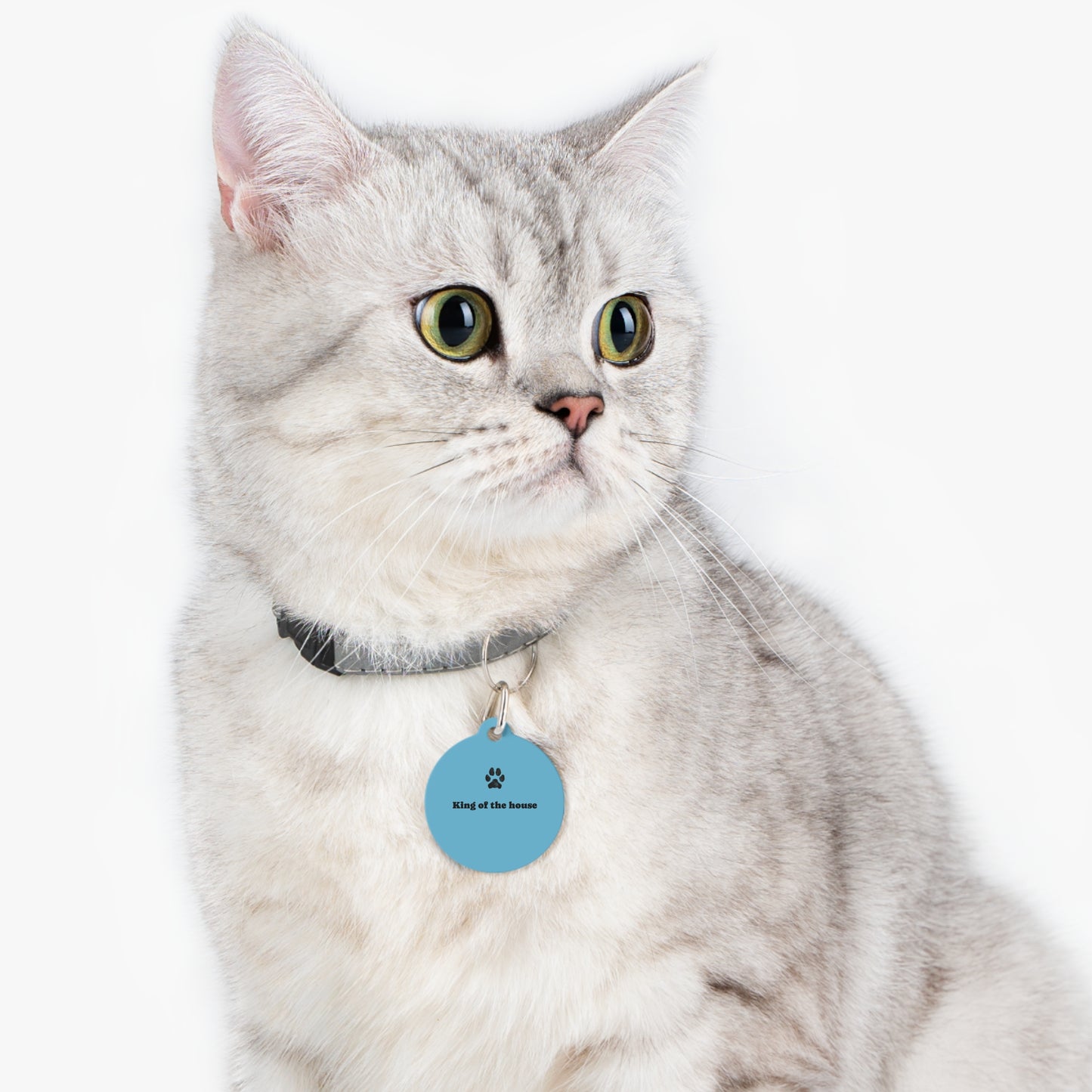 Cat Tag — "King of the House" Blue
