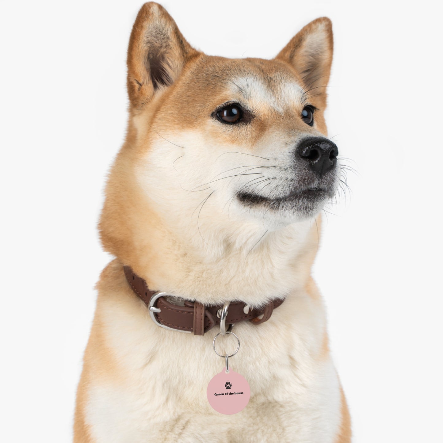Dog Tag — "Queen of the House" Pink
