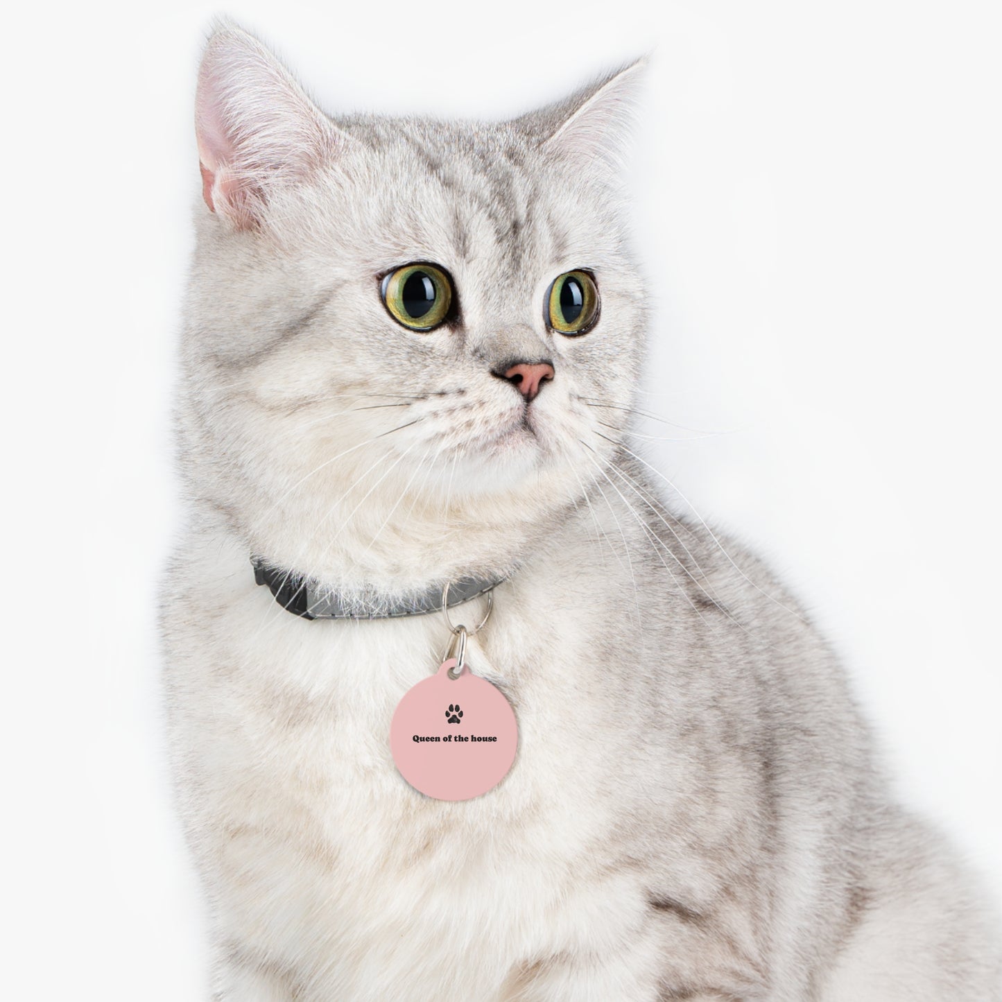 Cat Tag — "Queen of the House" Pink