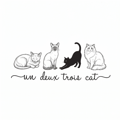 Un deux trois cat Classic Tote Bag